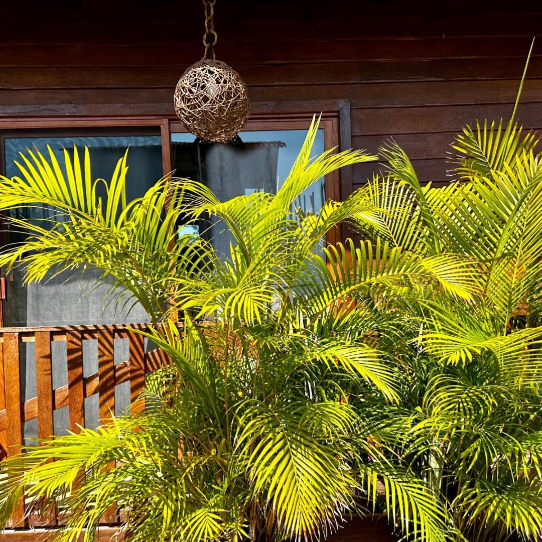 Ecoco Holbox - Ecochic - Cabanas De Madera - Holbox Retreat Exteriér fotografie