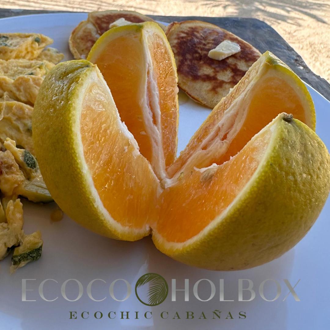 Ecoco Holbox - Ecochic - Cabanas De Madera - Holbox Retreat Exteriér fotografie